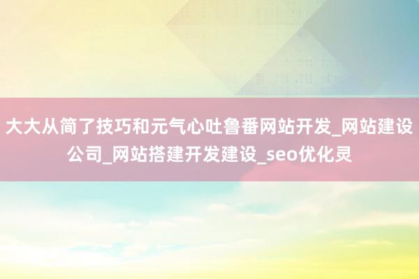 大大从简了技巧和元气心吐鲁番网站开发_网站建设公司_网站搭建开发建设_seo优化灵