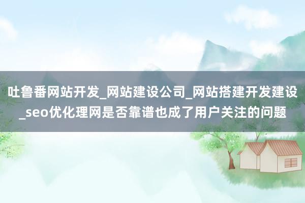 吐鲁番网站开发_网站建设公司_网站搭建开发建设_seo优化理网是否靠谱也成了用户关注的问题